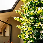 A Dei Marmi *